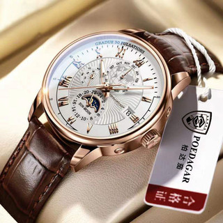 Đồng Hồ Nam Dây Da Cao Cấp Chính Hãng POEDAGAR - Đồng hồ Đeo Tay Nam Máy Nhật Sang Trọng-GD813