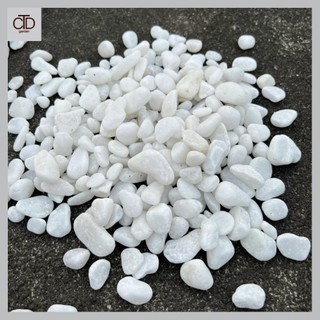 Sỏi trắng trang trí cây cảnh, bể cá và tiểu cảnh hồ nước