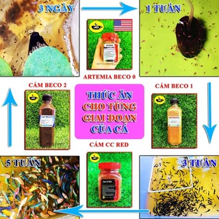 CC MIX - Thức ăn Cao Cấp cho cá