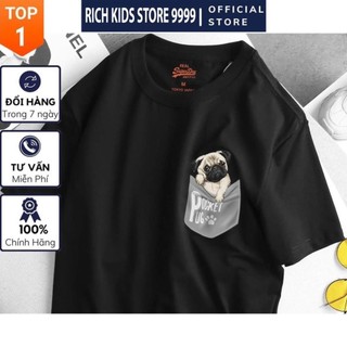 Áo Phông Chính Hãng From Châu Âu Nam Nữ Tay Ngắn Cổ Tròn, Cotton Mịn Mát, Giá Rẻ - Chất Lượng - Big Size Số 160