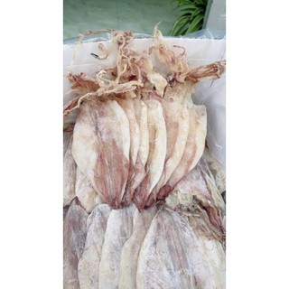 Mực khô (size 20-25 con 1kg) thơm ngon ngọt Thịnh Long
