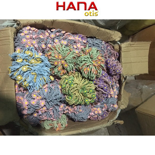 Combo 1000 dây buộc tóc hoá cúc , hanaotis