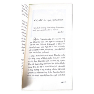 Sách  - Một Cội Cây Rừng ( VLA)