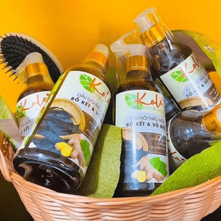 (Hữu cơ thảo dược) DẦU GỘI THẢO MỘC KALA 300ml