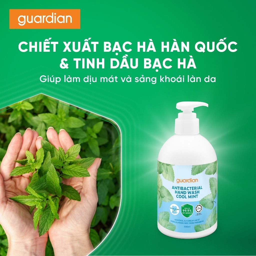 Nước Rửa Tay Sạch Khuẩn Guardian Antibacterial Handwash Cool Mint Bạc Hà Mát Lạnh 500ml