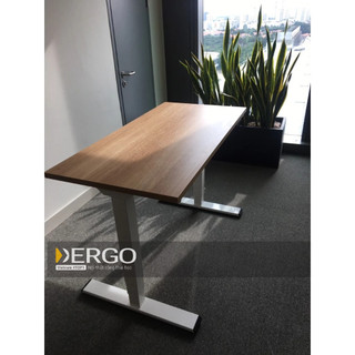Bàn Làm Việc Đứng DERGO Flexispot (Premium - 3 Stages) - EC5