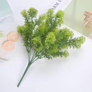 Cây Giả, Cây Rong La Hán