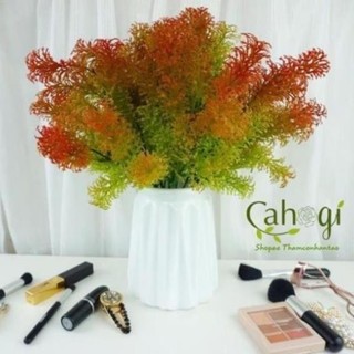Cây Giả, Cây Rong La Hán