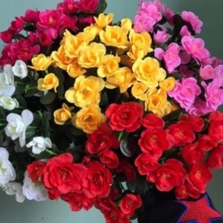 Hoa giả - Cây hoa đỗ quyên 12 nhánh