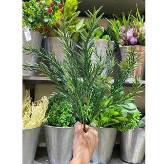 Cây nhựa giả lá lúa lá mạ non 7 nhánh dùng cắm chậu giả cây xanh hoặc trang trí cho không gian thêm xanh