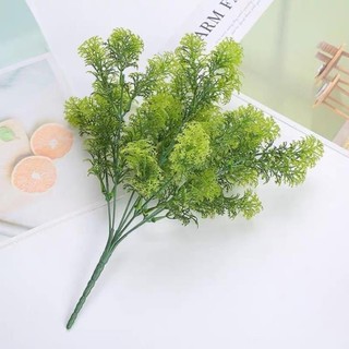 Cây Giả, Cây Rong La Hán
