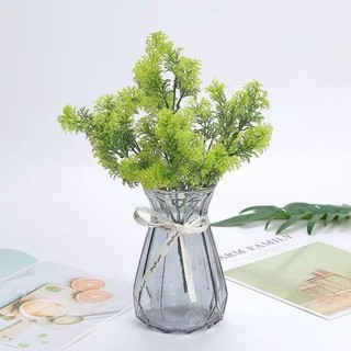 Cây Giả, Cây Rong La Hán
