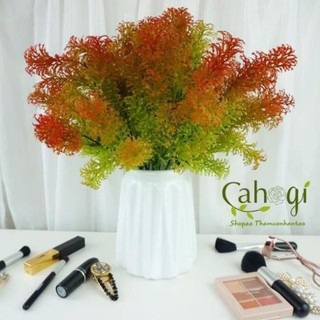 Cây Giả, Cây Rong La Hán