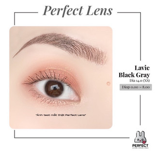  Lens Ảnh Mắt Thật Black Perfect Lens dia 14.0 kính áp tròng đen trong không giãn có độ cận không viền 