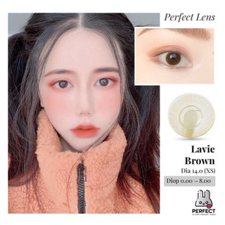   Xả Lỗ  Lens Ảnh Mắt Thật Lavie Brown Perfect Lens dia 14.0 kính áp tròng nâu trong không giãn có độ cận không viền 