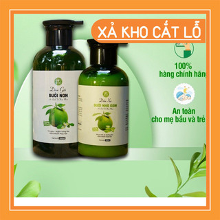 Combo dầu gội bồ kết cô đặc/ dầu gội bưởi non giảm giàu, nấm, rụng tóc handamde