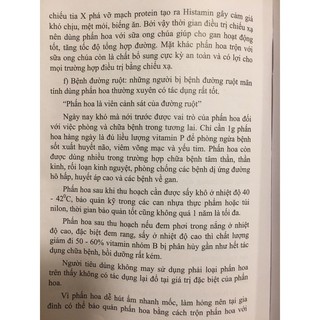 kỹ thuật nuôi ong mật