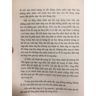 kỹ thuật nuôi ong mật