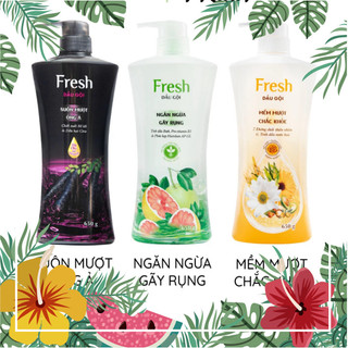 Dầu gội xả bồ kết fresh suôn mượt tóc, dầu gội bưởi fresh giảm gãy rụng tóc, mềm mượt chắc khỏe 650g