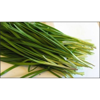Hạt giống hẹ lá duyên hải tn174 gói 2g