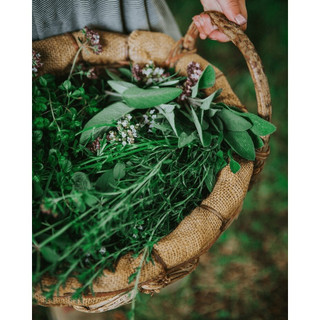(Hữu cơ thảo dược) DẦU GỘI BỒ KẾT THẢO MỘC HERBYOU