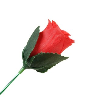 HATATIT Ngọn Lửa Ảo Thuật Độc Đáo