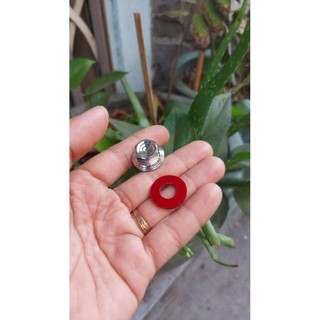 DIAMOND SALAYA - Ốc chân kiếng 10li Salaya Ốc chân gương 10li Salaya tặng kèm long đền đỏ _ 2026