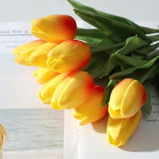 Cành hoa tulip