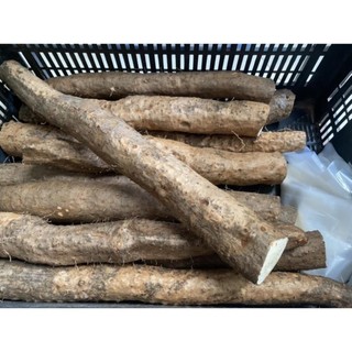 củ khoai mài tươi hoài sơn 1kg - khoai mài khô