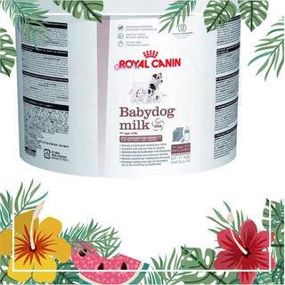 Sữa cho chó mèo con của Royal canin 400g và 2 kg