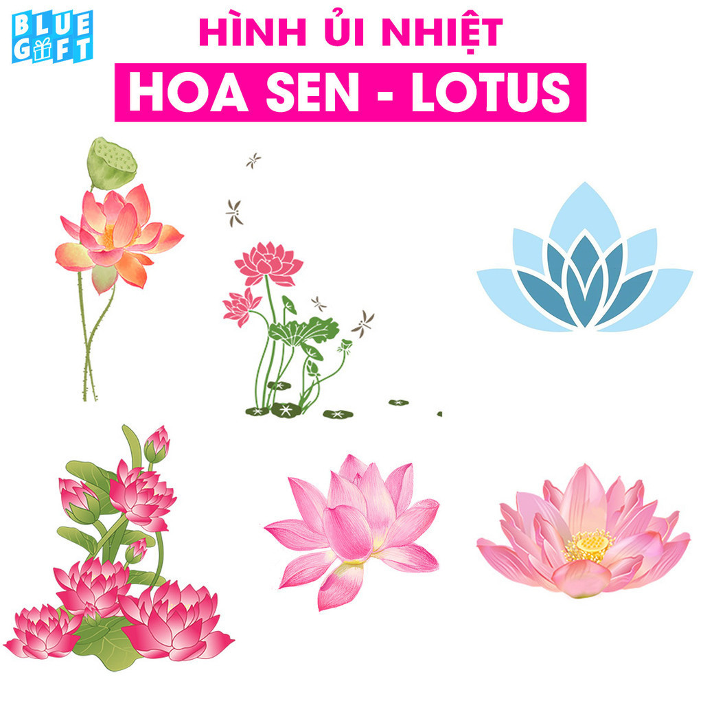 Hình ủi, Hình Ép Nhiệt Hoa Sen - Lotus, Có In Theo Yêu Cầu 14