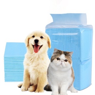 Tả lót chuồng cho chó mèo
