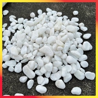 Sỏi trắng trang trí cây cảnh, bể cá và tiểu cảnh hồ nước