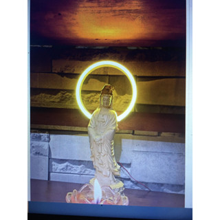 [Size 10->40] Đèn LED NEON HÀO QUANG PHẬT (có kèm theo nguồn)