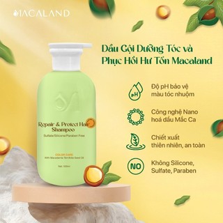 Dầu Gội Dưỡng Tóc Phục Hồi Hư Tổn MACALAND 500ml giữ màu tóc nhuộm, giảm khô xơ, gãy rụng
