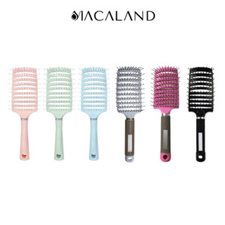  MÀU NGẪU NHIÊN  Lược Chải Tóc Gỡ Rối Làm Phồng Tóc Tạo Kiểu 