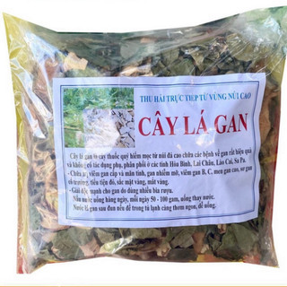Cây Lá Gan hỗ trợ men gan, sơ gan, gan mỡ, giải độc
