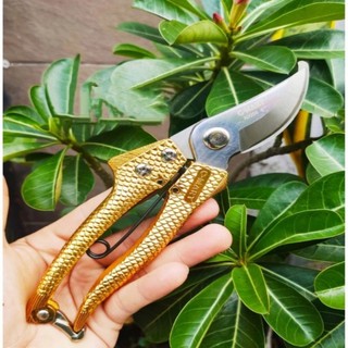 (GIÁ HỦY DIỆT) KÉO CẮT CÀNH THÉP