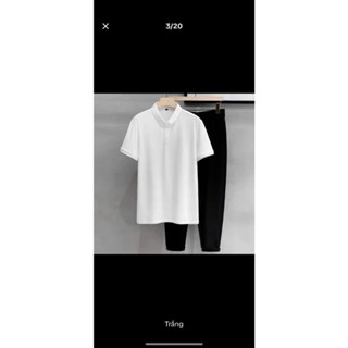  Áo Polo nam ngắn tay vải cá Sấu cao cấp- Minh Nguyệt Shop 