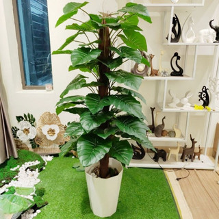 Cây trầu bà 1,6m 63 lá-cây giả hàng xịn-đẹp giống thật99%