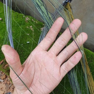 s 1 Combo bẫy cút chất lượng( loa+ thẻ nhớ + cung bẫy cút)