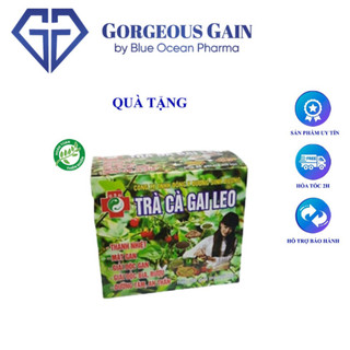 Trà cà gai leo đông y dưỡng sinh đường