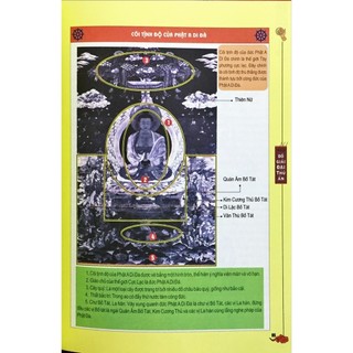 Sách - Đại Thủ Ấn Tức Thân Thành Phật - MinhLam