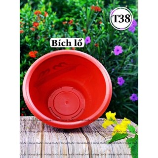Chậu nhựa bích lổ - nuôi cá t38