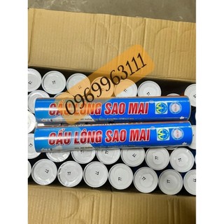 Vợt Cầu Lông YONEX 1 chiếc ( Màu Ngẫu Nhiên )