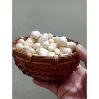 Hành tăm _ Hành củ Huế  1kg