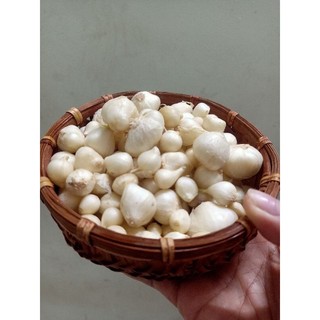 Hành tăm _ Hành củ Huế  1kg