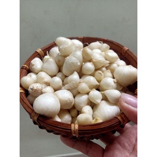 Hành tăm (Củ Ném)  100% nhà trồng tại Huế 1kg