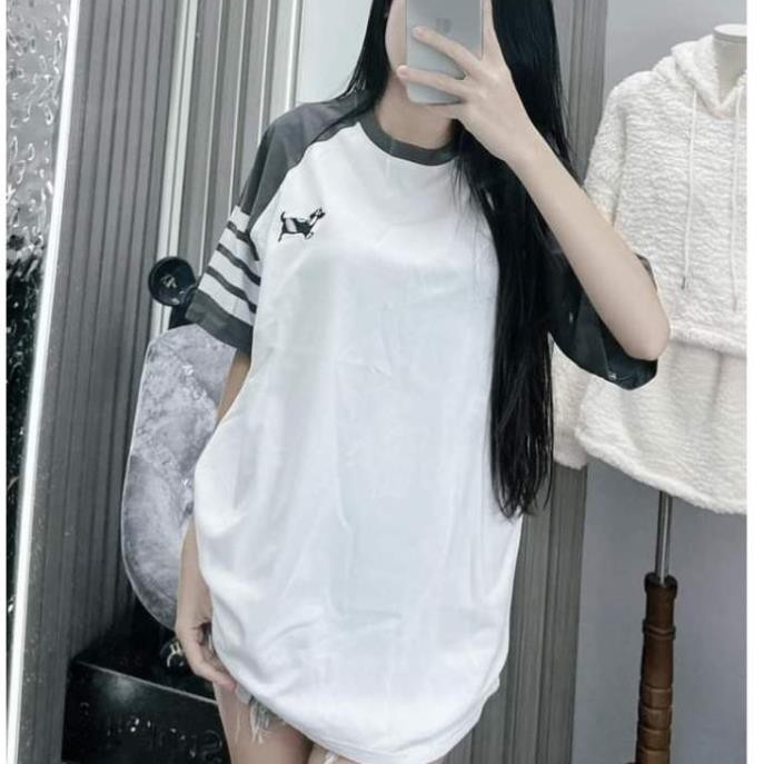 Áo Phông Unisex In Hình Cún Con , Áo Thun Nam Nữ In Hình Cún Con Trước Ngực Siêu Hot T12 | BigBuy360 - bigbuy360.vn