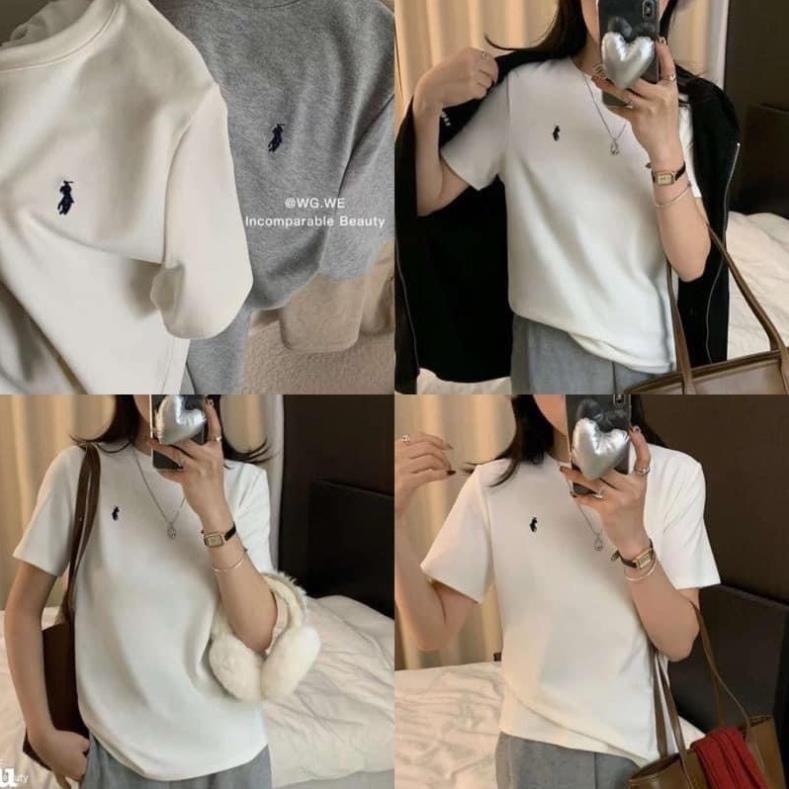 Áo Phông Unisex In Hình Ngựa , Áo Thun Nam Nữ In Con Ngựa Hottrend Mùa Hè T03 | BigBuy360 - bigbuy360.vn